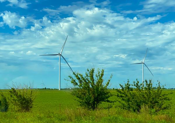 Wind Farms in a field