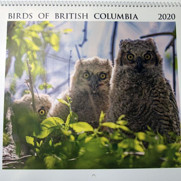One page of the Birds of British Columbia 2020 calendar.