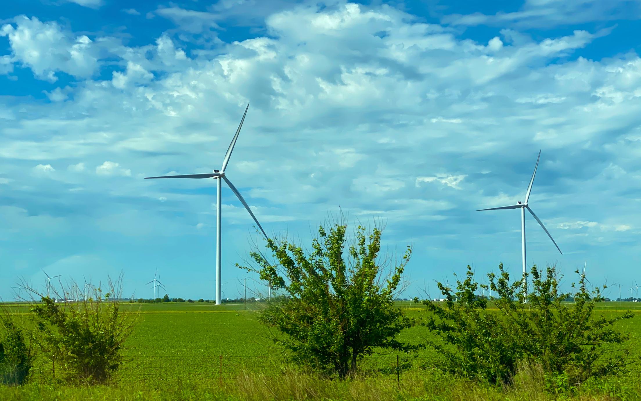Wind Farms in a field