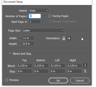 The indesign print document setup page