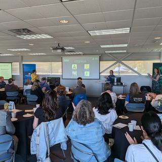 WIL awards 2025 provincial winners announcement