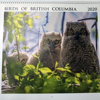 One page of the Birds of British Columbia 2020 calendar.