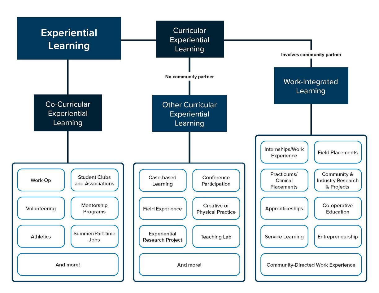 Types of Experiential Learning - Curricular vs. Co-Curricular