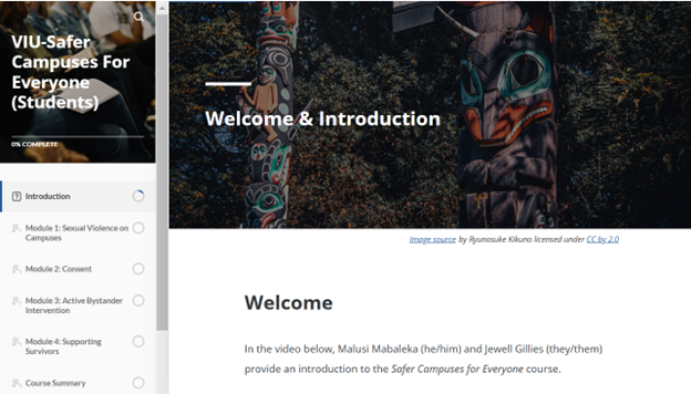 picture-safer-campuses-for-everyone-online-course