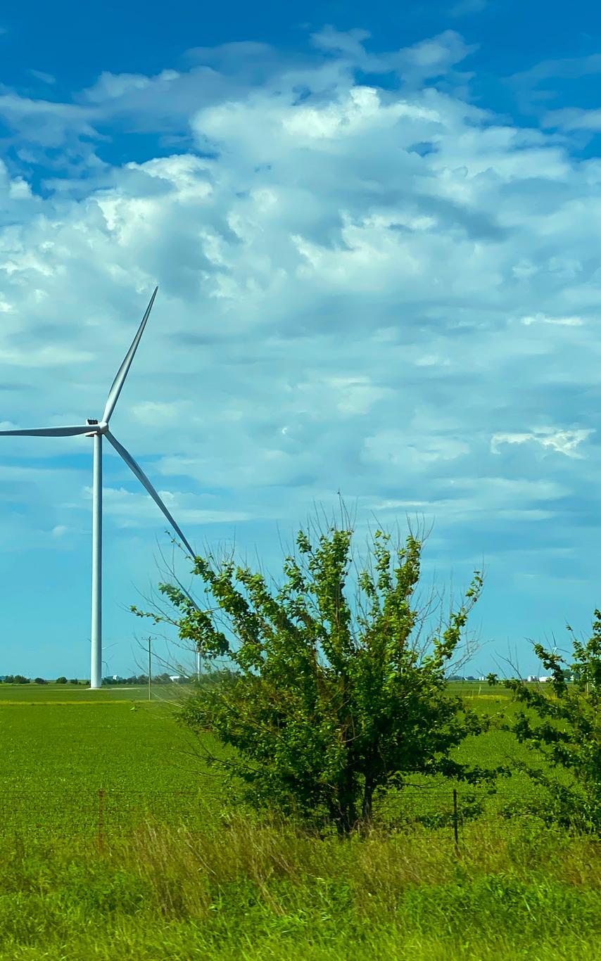 Wind Farms in a field