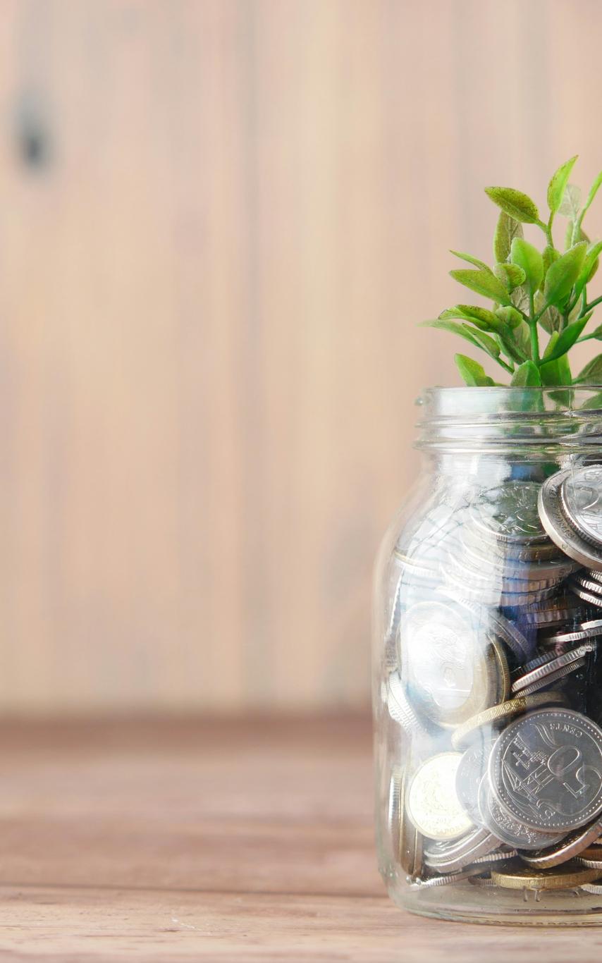 A plant growing out of a jar of coins